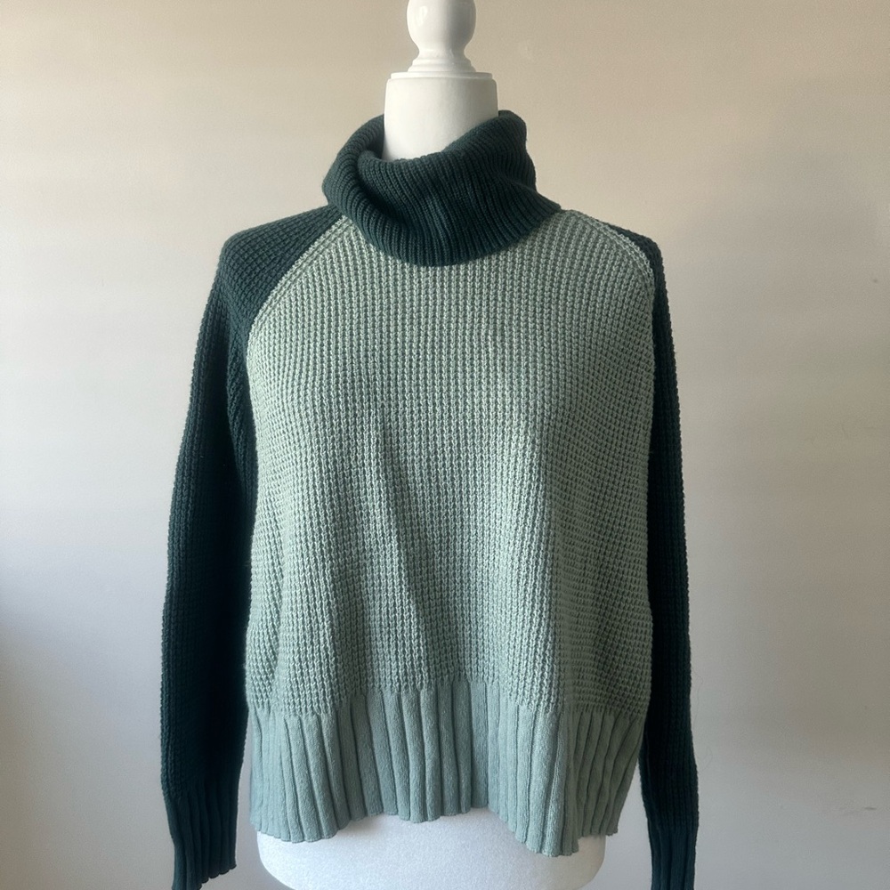 Madewell Green & Dark Green Turtleneck Sweater